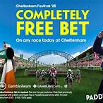 paddy power 250 free bet